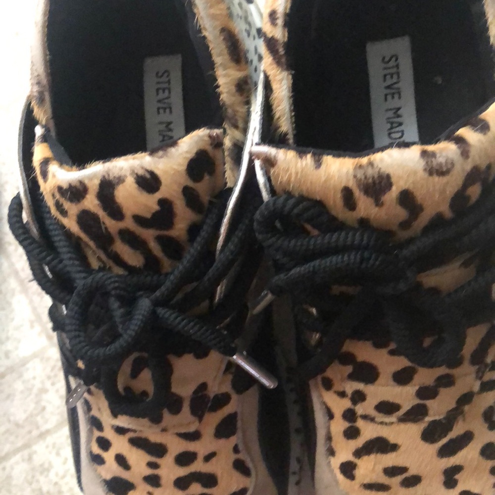 Steve Madden Leopard Cliff Sneakers